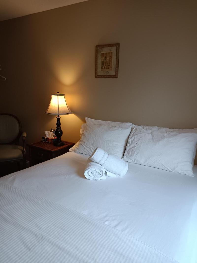Painted Turtle Guesthouse image