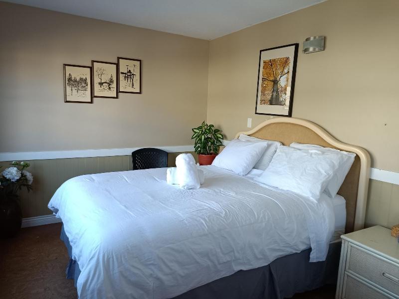 Painted Turtle Guesthouse image