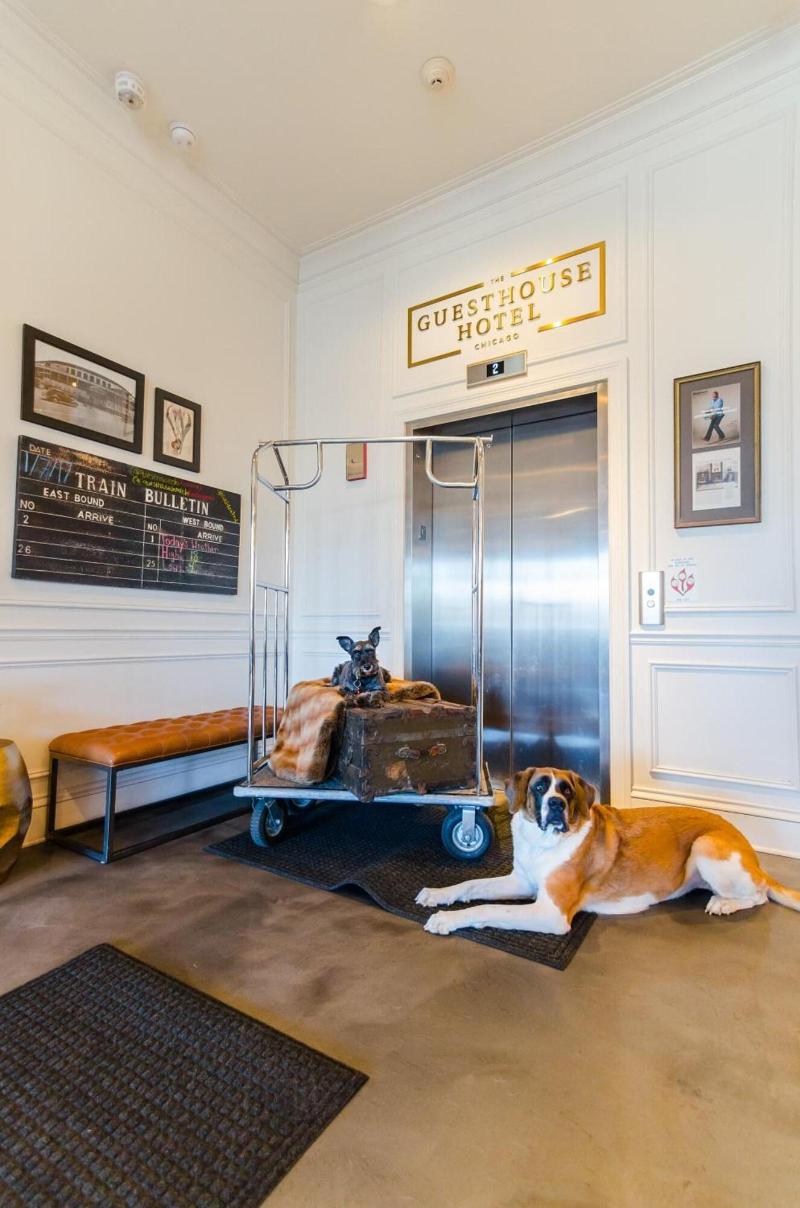 The Guesthouse Hotel image