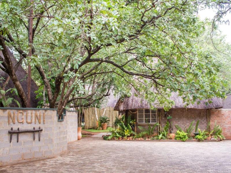 Nguni Lodge image
