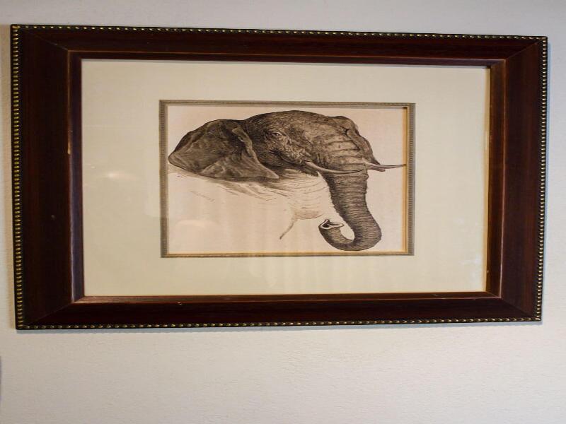 Nguni Lodge image