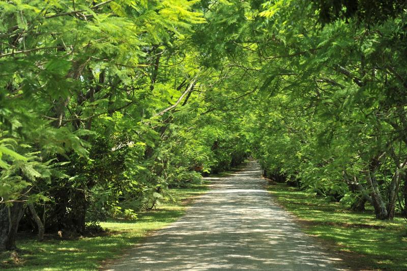 Summerfield Luxury Resort & Botanical Garden image