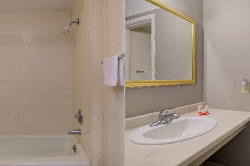 OYO Hotel Douglas GA US-441 image