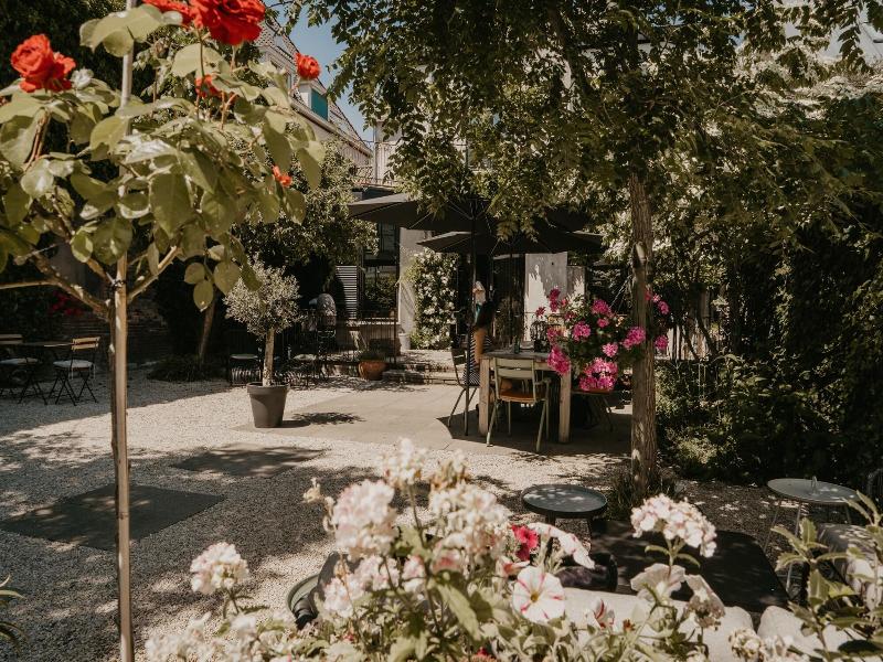 The Yard image