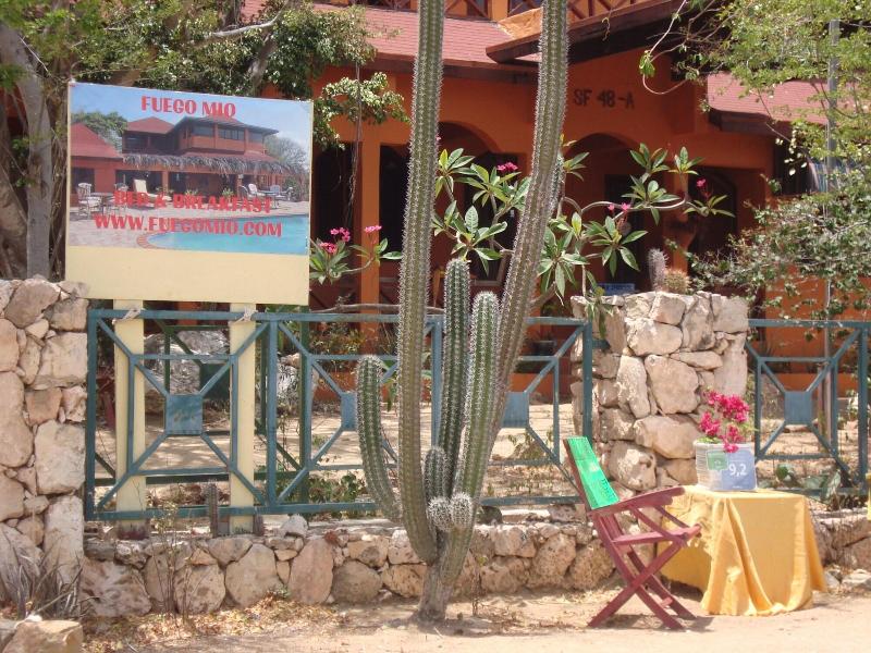 Fuego Mio Bed & Breakfast image