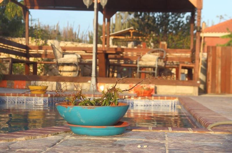Fuego Mio Bed & Breakfast image
