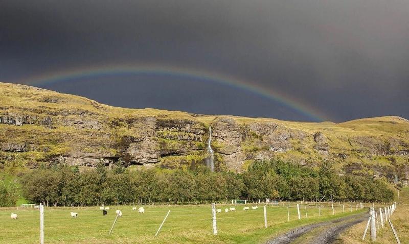 Hlíðarból Farm Guesthouse — photo 3