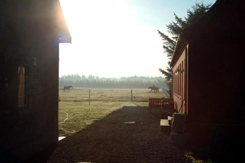 Farm Stay Stald Nordkap — photo 5