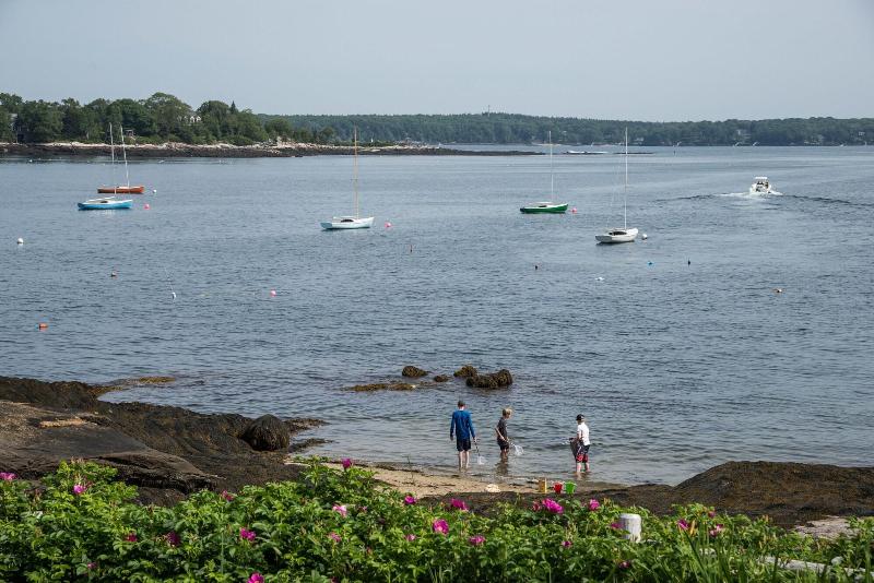 Linekin Bay Resort image