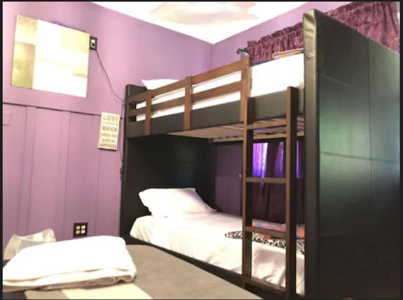 Tripper Electric Beach Suites And Pods — photo 4
