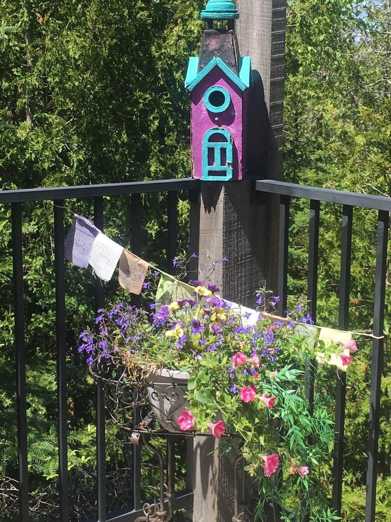 Mermaid's Boutique Adult Guest House image