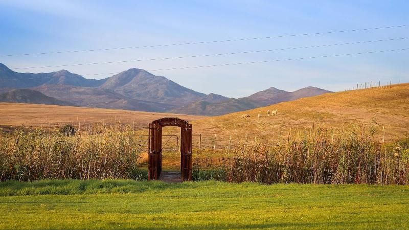 Endless Vineyards Boutique Lodge image