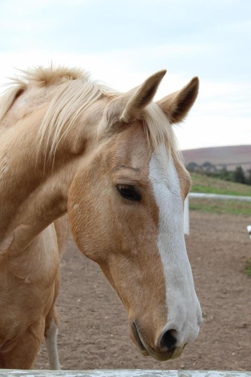 Endless Vineyards Boutique Lodge image