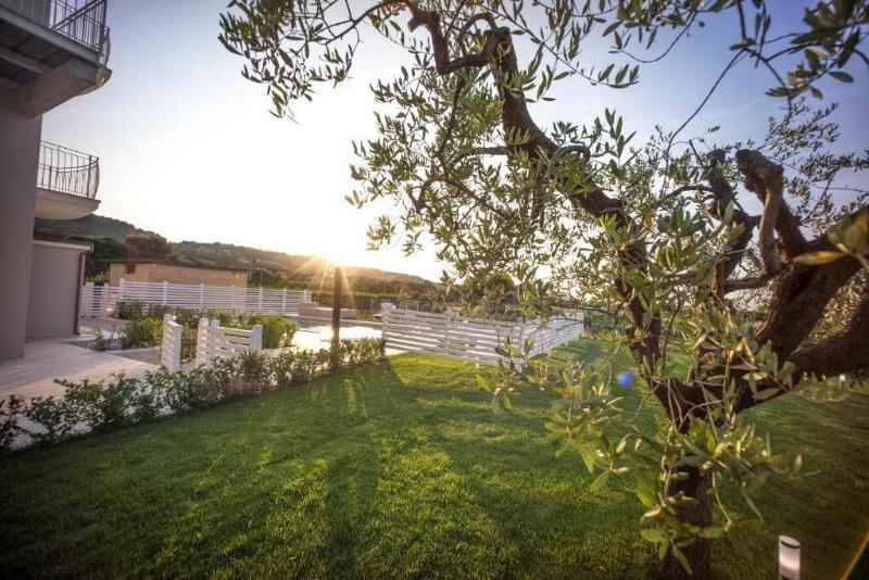 Hotel Palmensis image