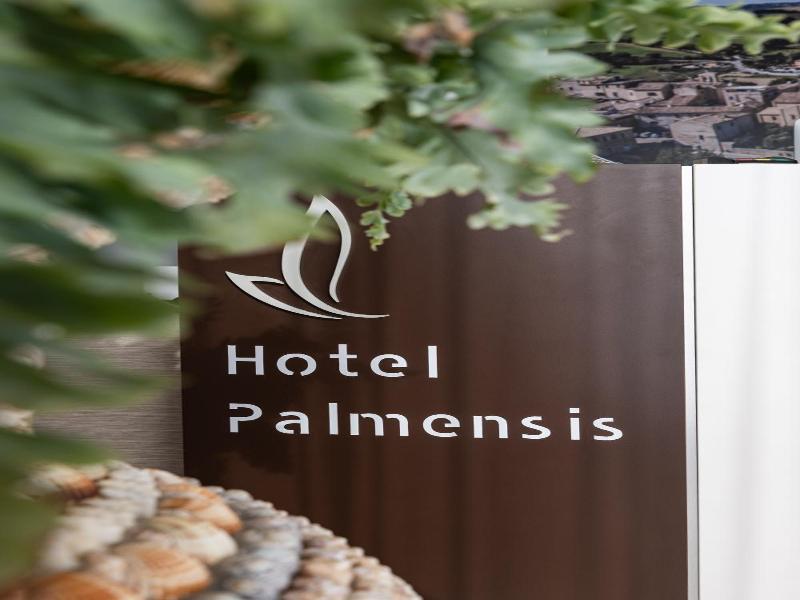 Hotel Palmensis image