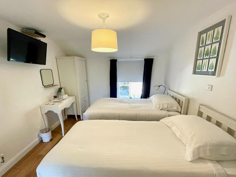The Queens Head Hotel image