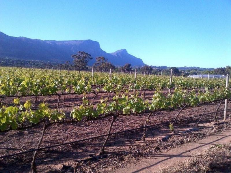 Victorskloof Lodge image