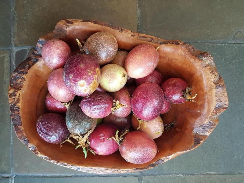Victorskloof Lodge image