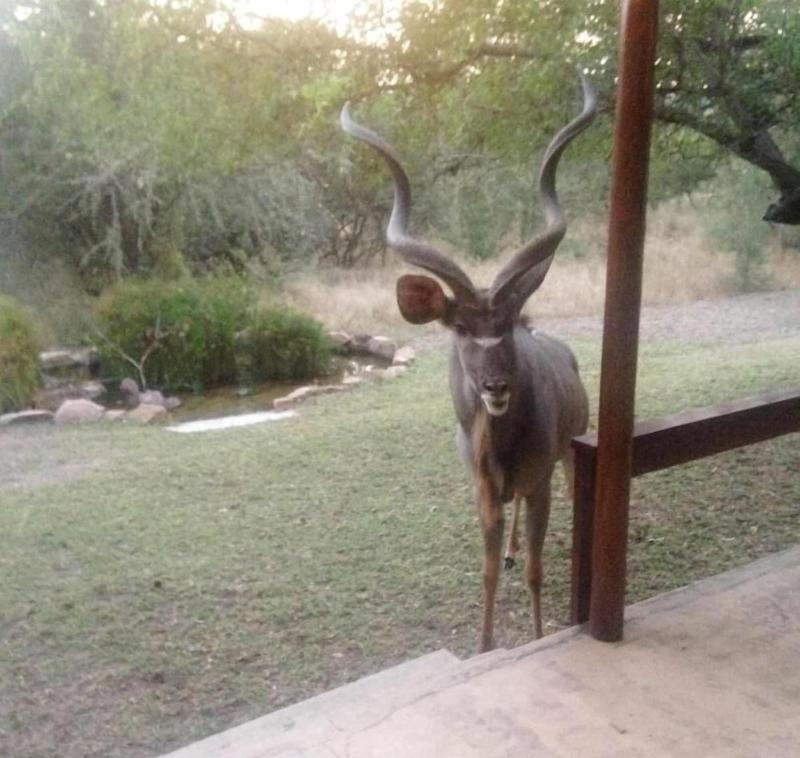 Turaco Lodge image