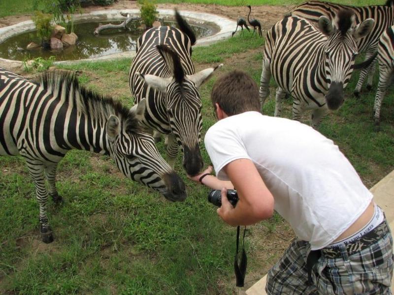 Turaco Lodge image