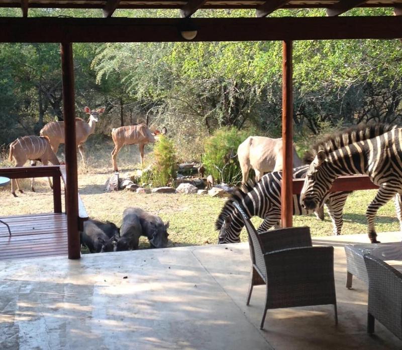 Turaco Lodge image