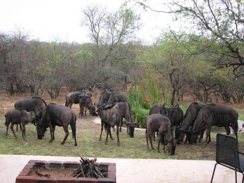 Turaco Lodge image