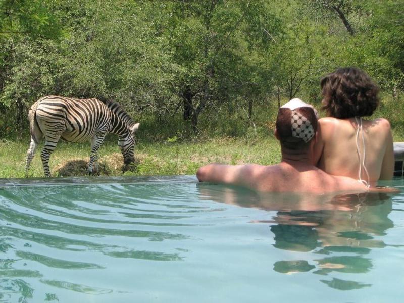Turaco Lodge image