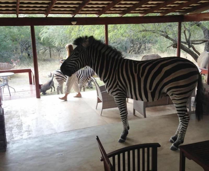 Turaco Lodge image
