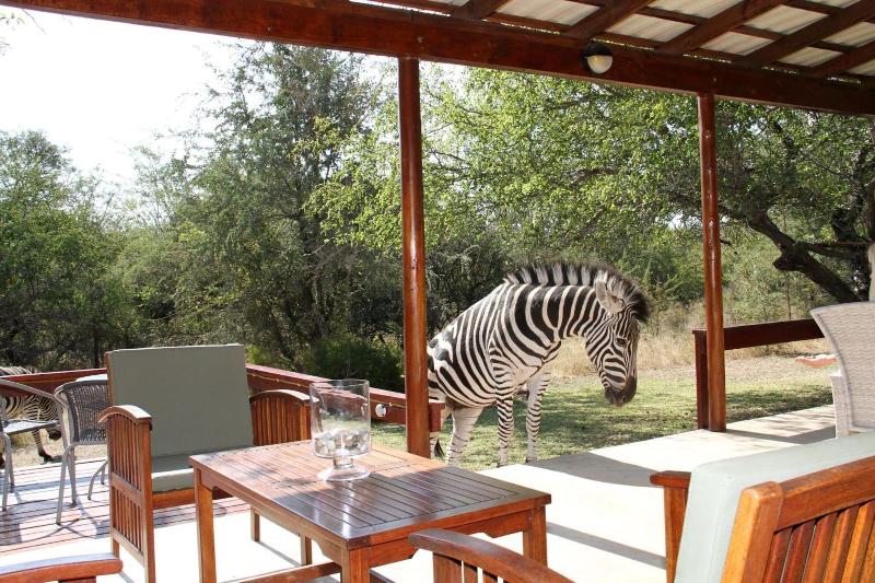 Turaco Lodge image