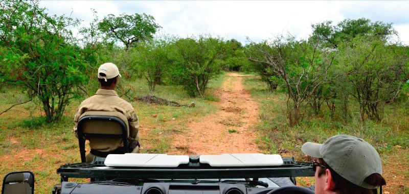 Tingala Lodge image
