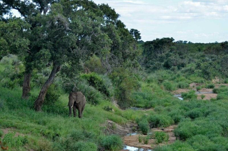 Tingala Lodge image