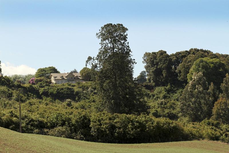 Playa Maqui Lodge image