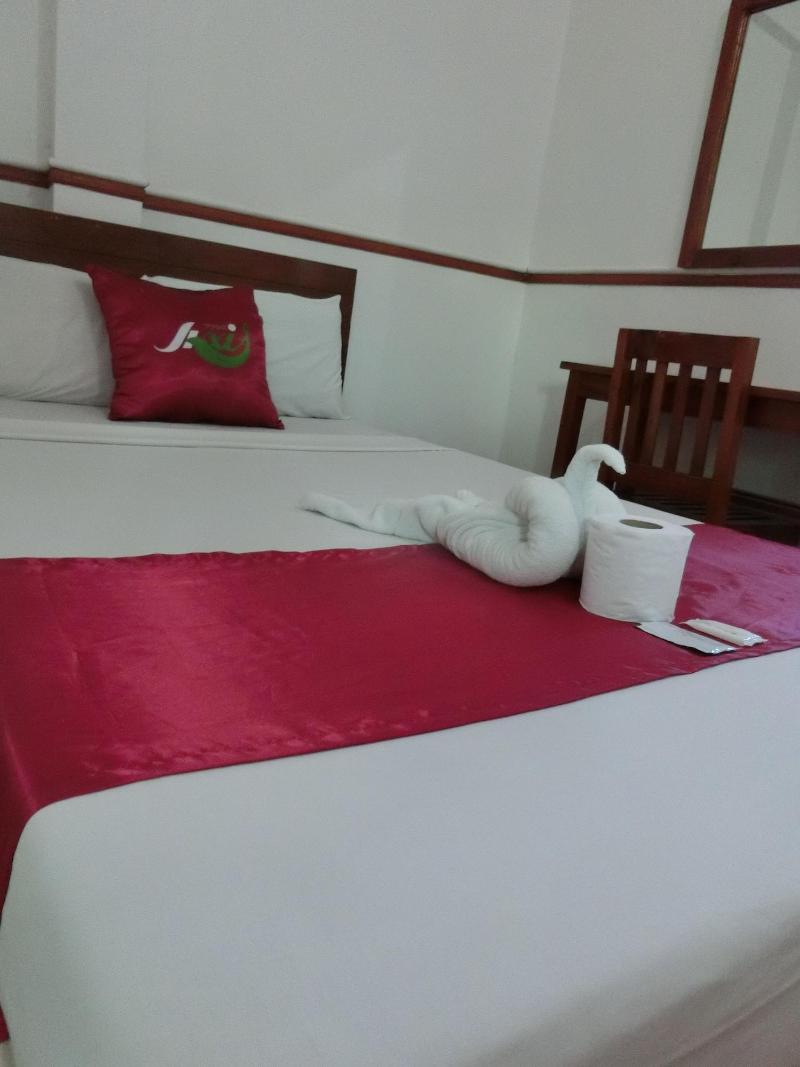 Axis Pension Hotel image