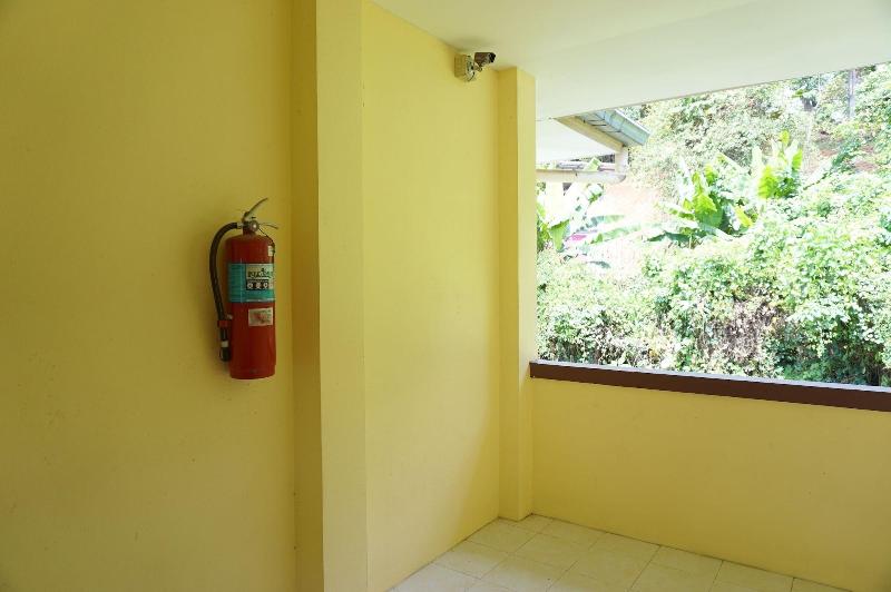Palmy Home image