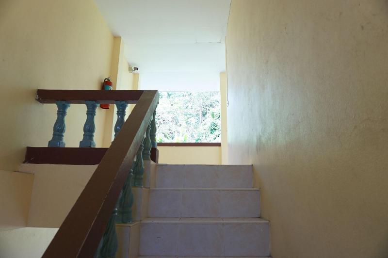 Palmy Home image