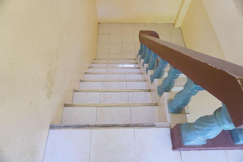 Palmy Home image