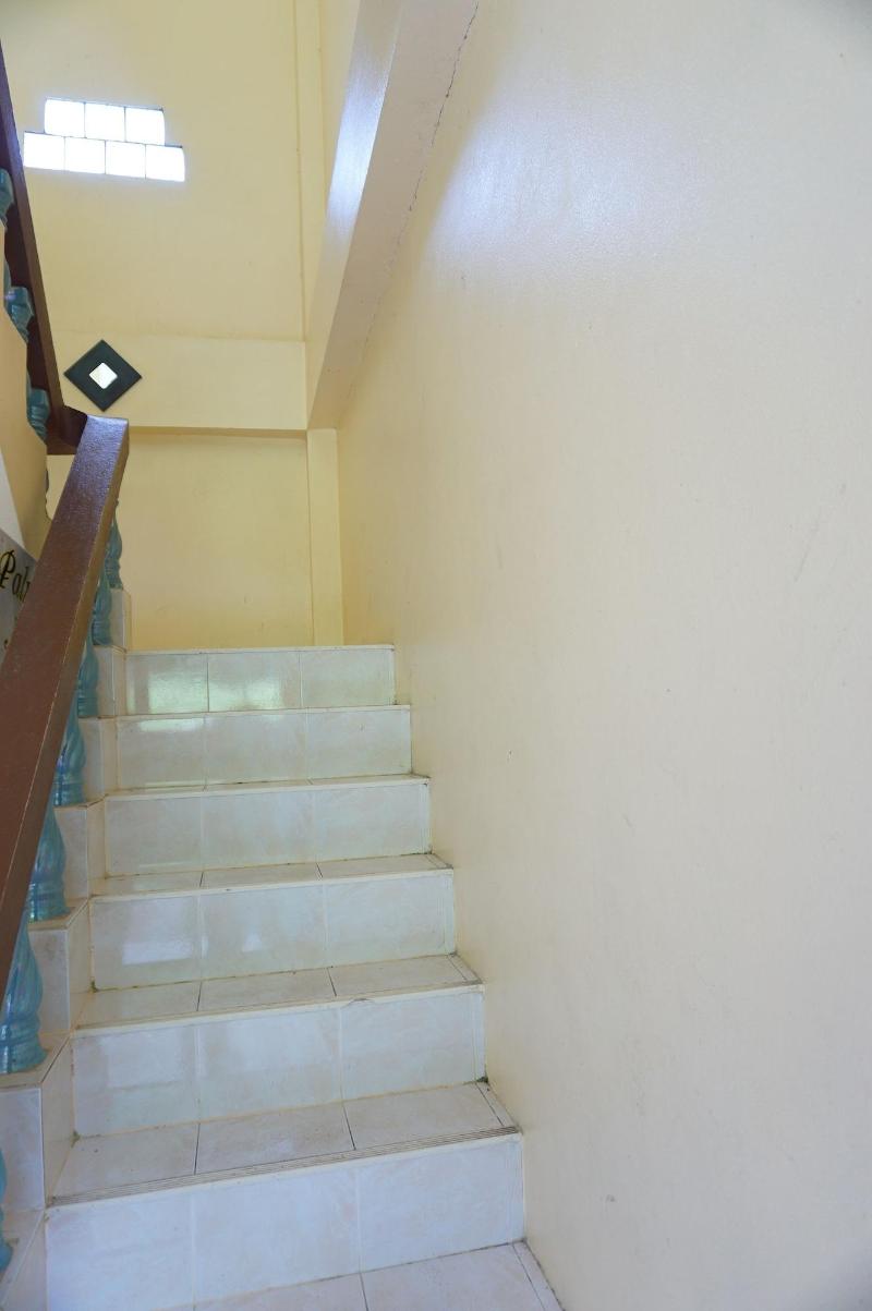 Palmy Home image