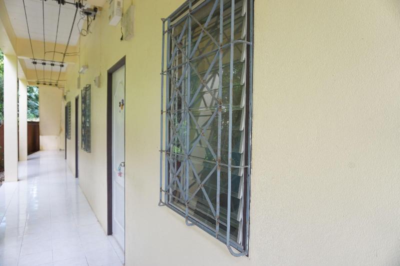 Palmy Home image