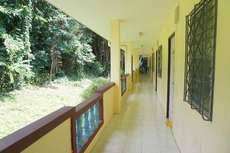 Palmy Home image