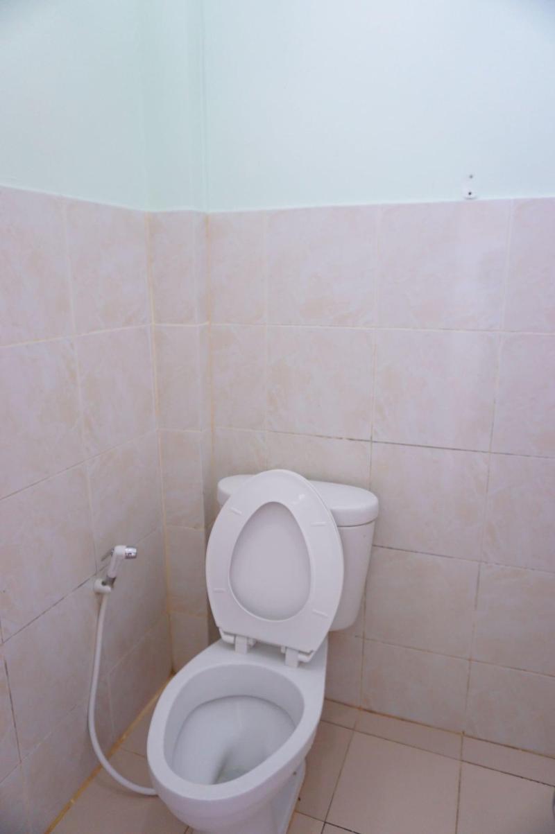Palmy Home image