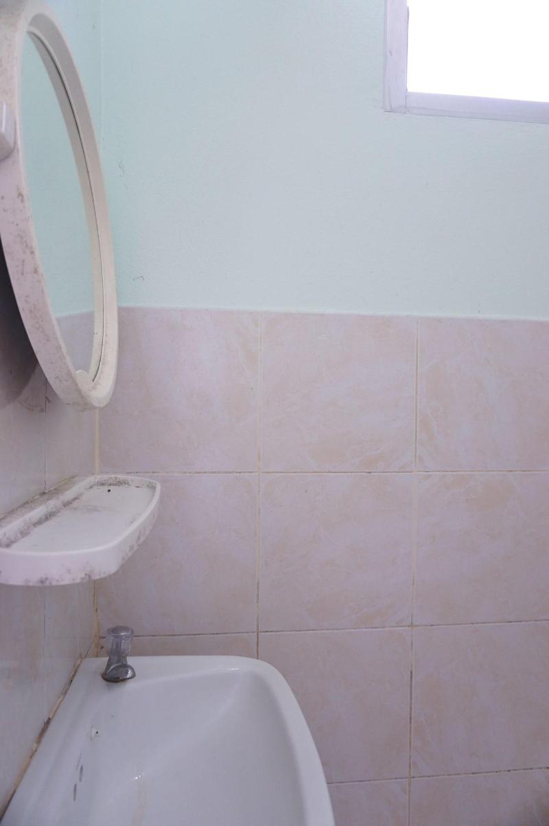 Palmy Home image