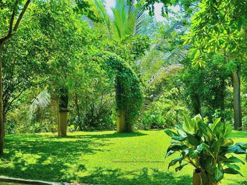 Ele Camp Udawalawa