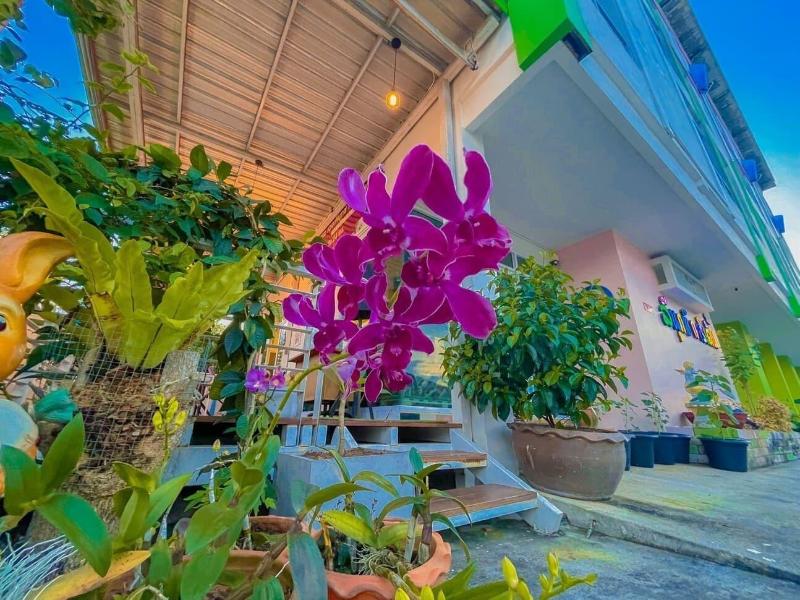 The Linux Garden Hotel image