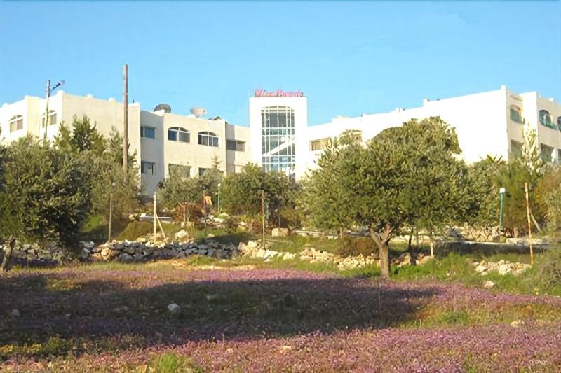 The Olive Branch Hotel