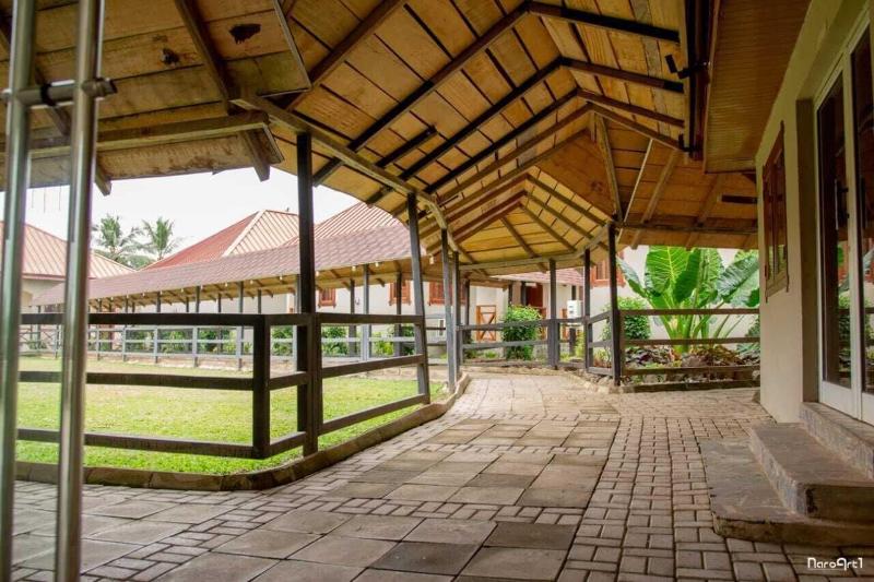 Rainforest Lodge image