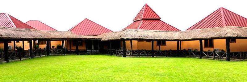 Rainforest Lodge image