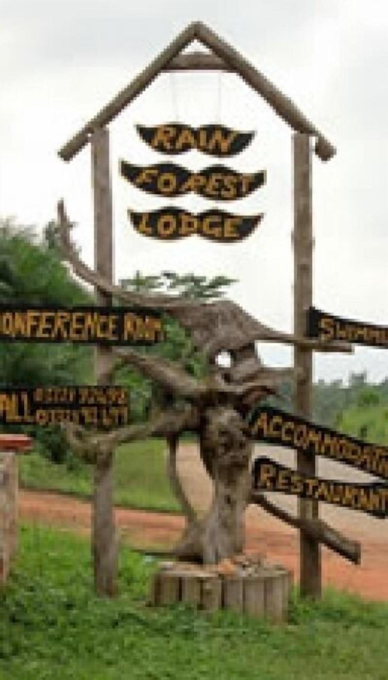 Rainforest Lodge image