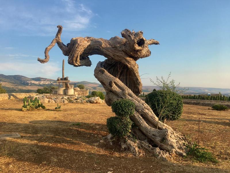 Locanda Gulfi image