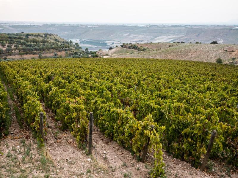 Locanda Gulfi image
