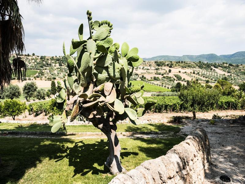 Locanda Gulfi image